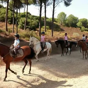https://apartamento-marismas-del-guadalquivir.es-andalucia.com